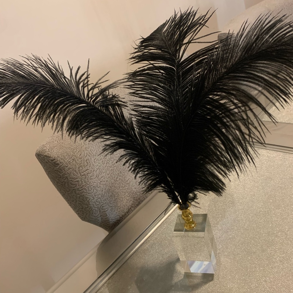 Crystal 3 feather